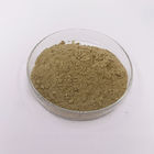 Anti Fever Echinacea Extract Powder Chicoric Acid 1% 4% CAS 70831-56-0